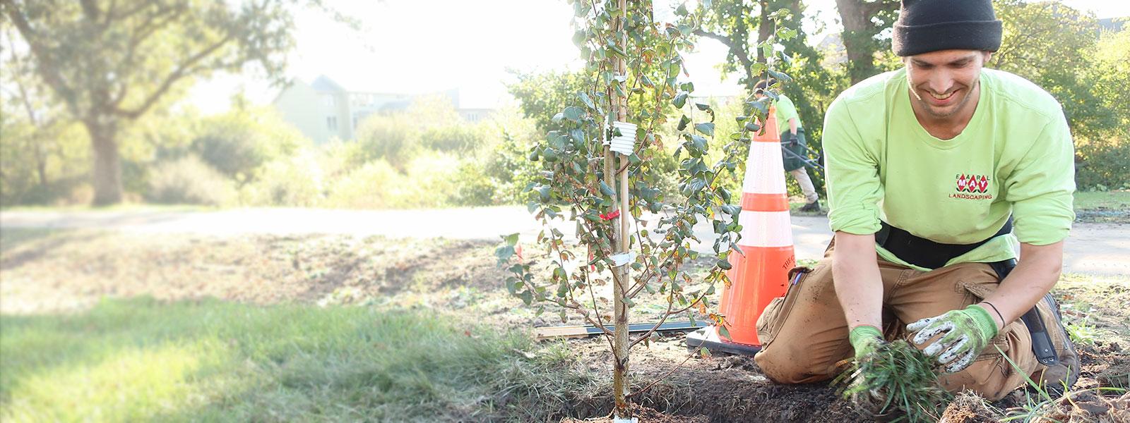 Earl May Garden Centers Lawn & Garden Experts